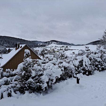 Sauerland-Tinyworld - Ihr Tiny Ferienhaus Im Sauerland Am Diemelsee Zewnętrze zdjęcie