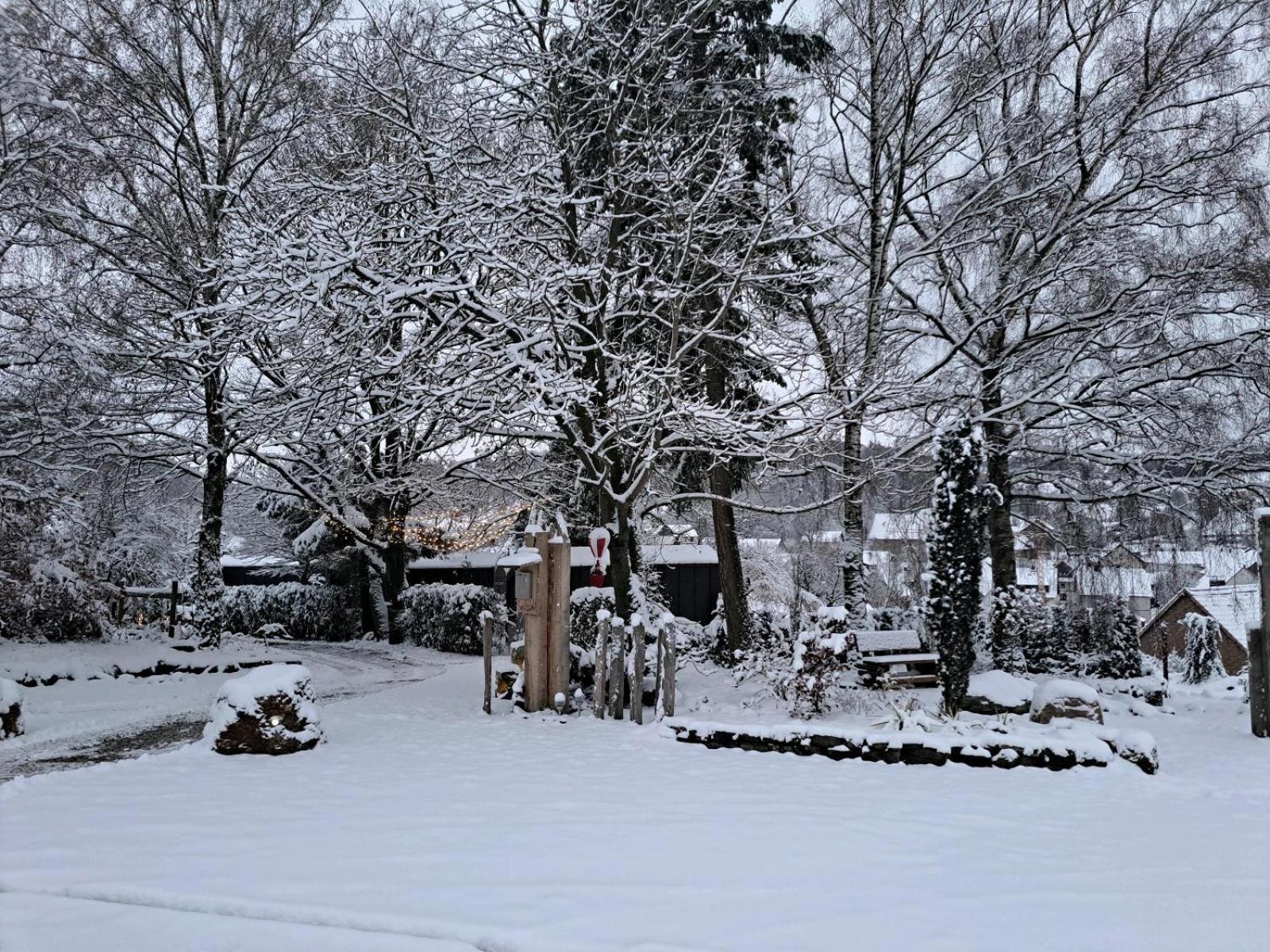 Sauerland-Tinyworld - Ihr Tiny Ferienhaus Im Sauerland Am Diemelsee Zewnętrze zdjęcie