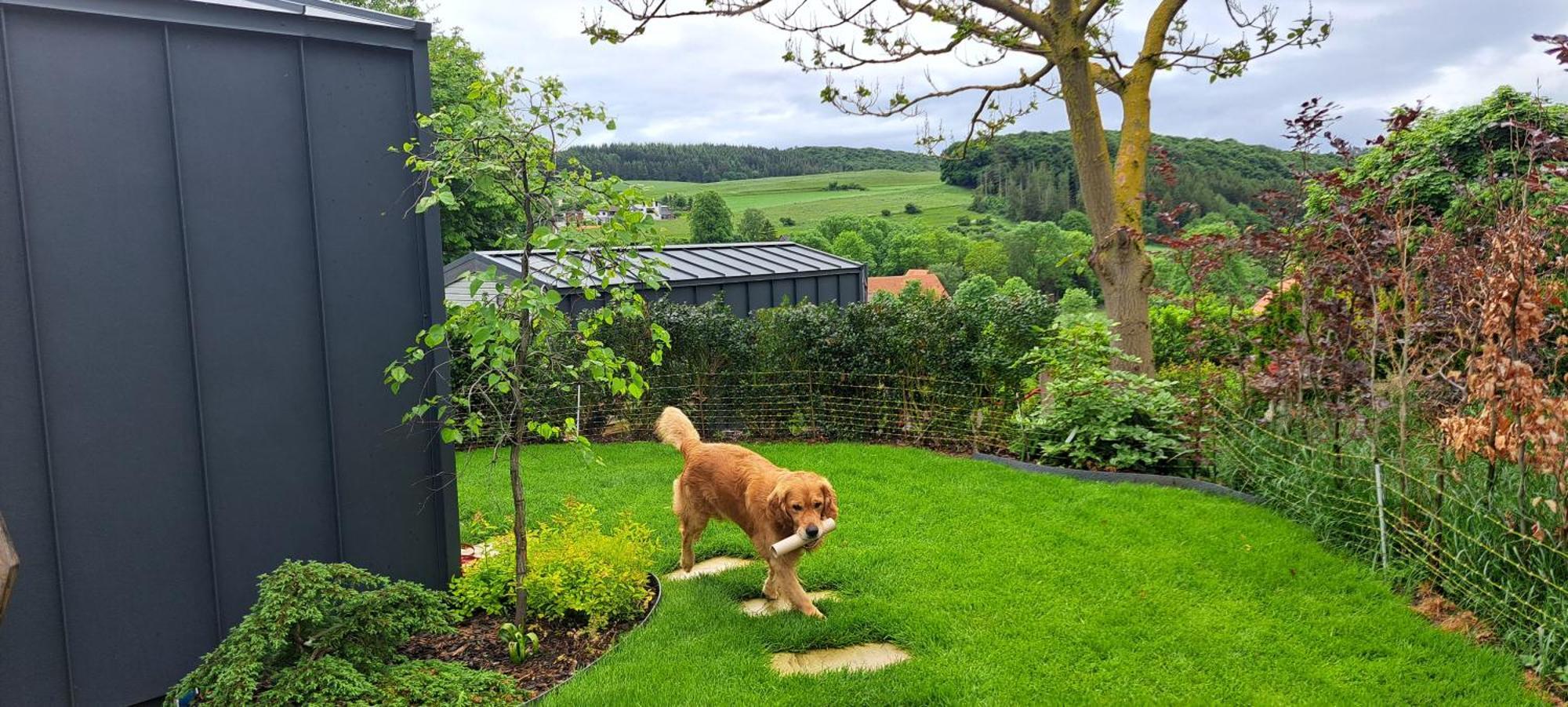 Sauerland-Tinyworld - Ihr Tiny Ferienhaus Im Sauerland Am Diemelsee Zewnętrze zdjęcie