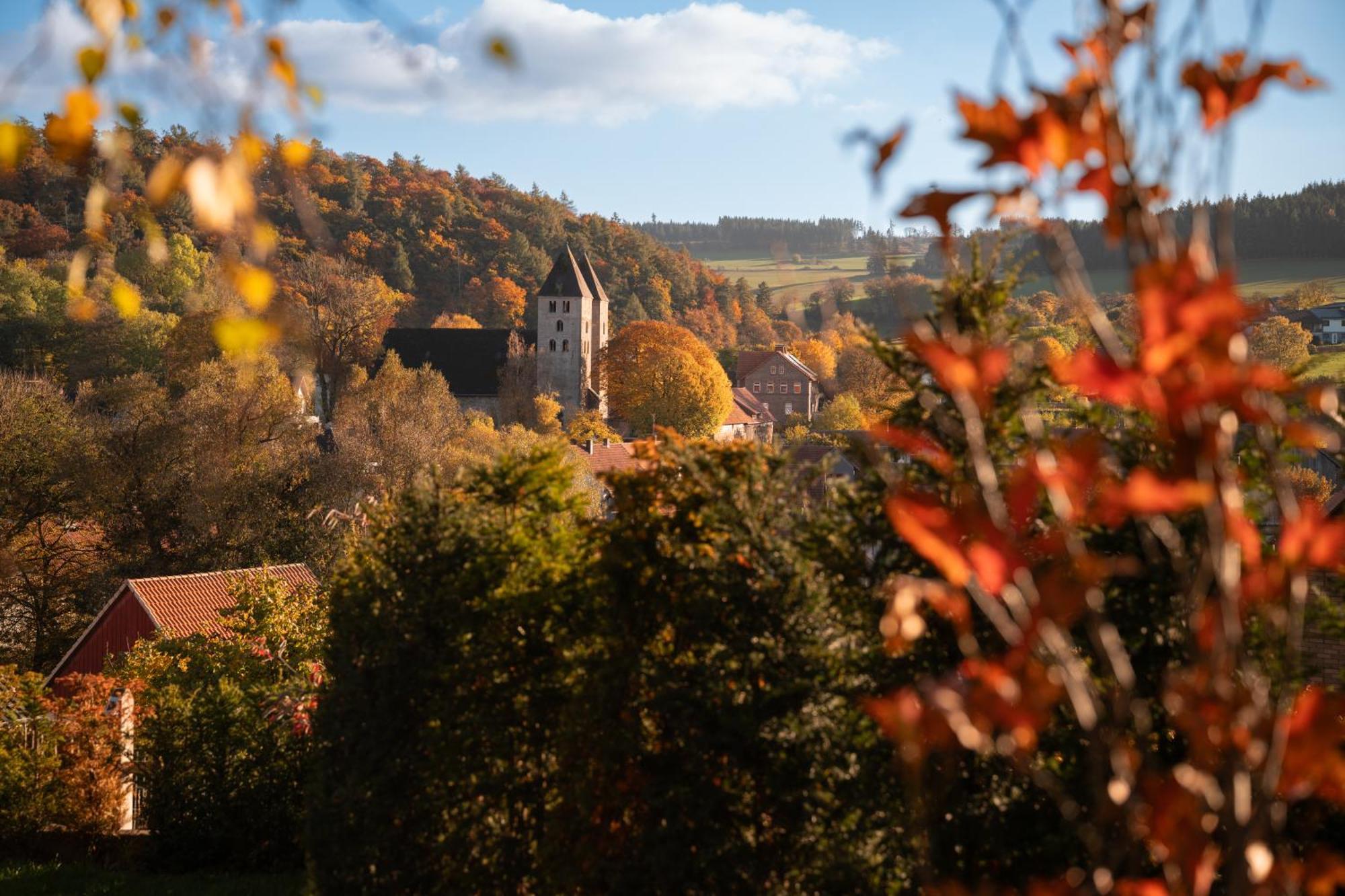 Sauerland-Tinyworld - Ihr Tiny Ferienhaus Im Sauerland Am Diemelsee Zewnętrze zdjęcie