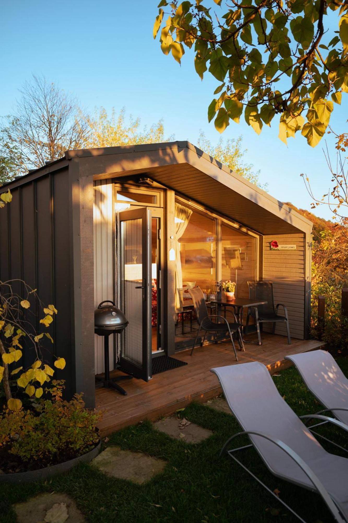 Sauerland-Tinyworld - Ihr Tiny Ferienhaus Im Sauerland Am Diemelsee Zewnętrze zdjęcie