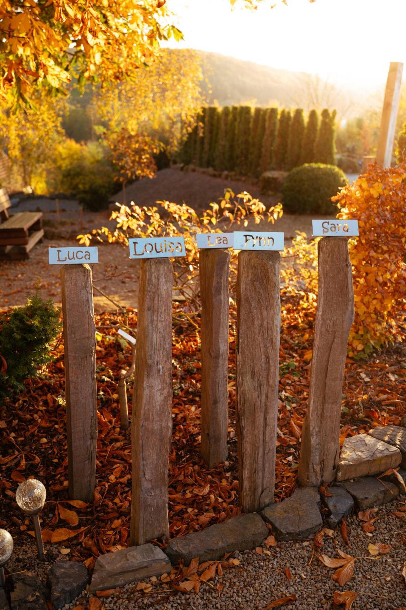 Sauerland-Tinyworld - Ihr Tiny Ferienhaus Im Sauerland Am Diemelsee Zewnętrze zdjęcie