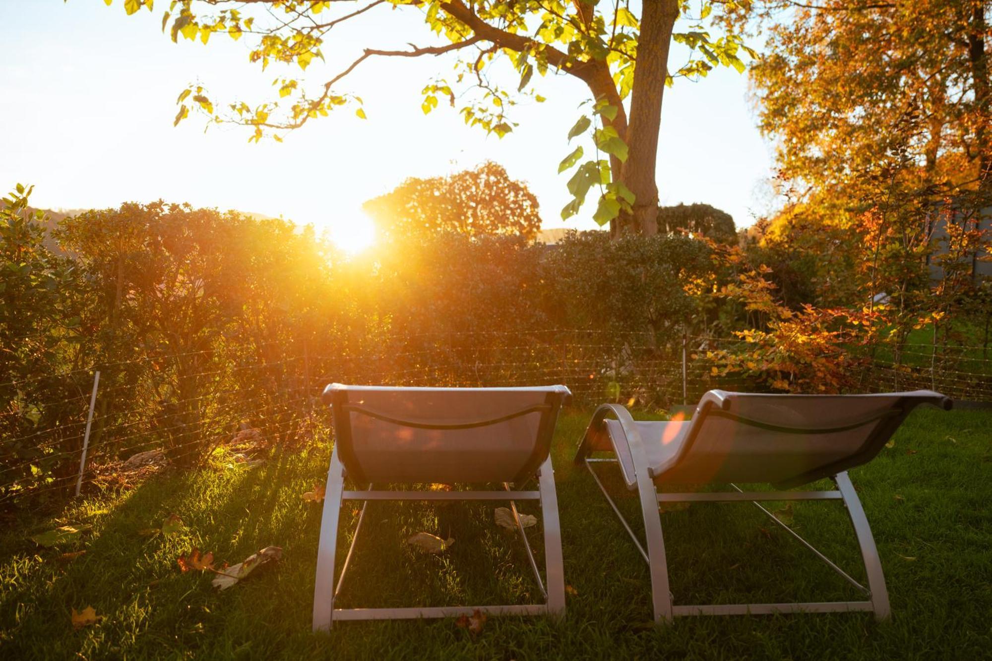 Sauerland-Tinyworld - Ihr Tiny Ferienhaus Im Sauerland Am Diemelsee Zewnętrze zdjęcie