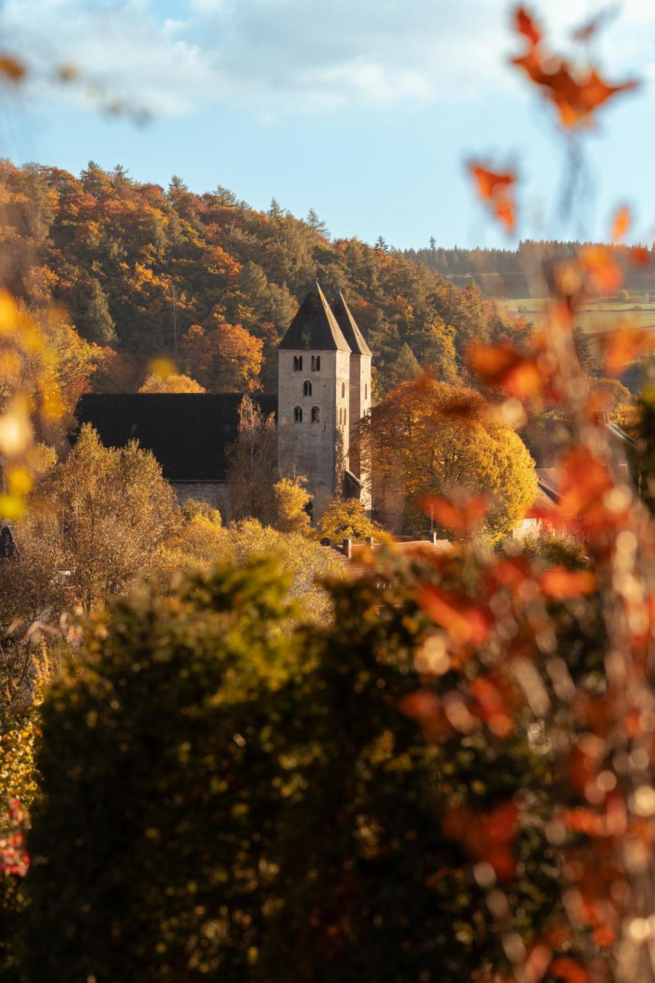 Sauerland-Tinyworld - Ihr Tiny Ferienhaus Im Sauerland Am Diemelsee Zewnętrze zdjęcie
