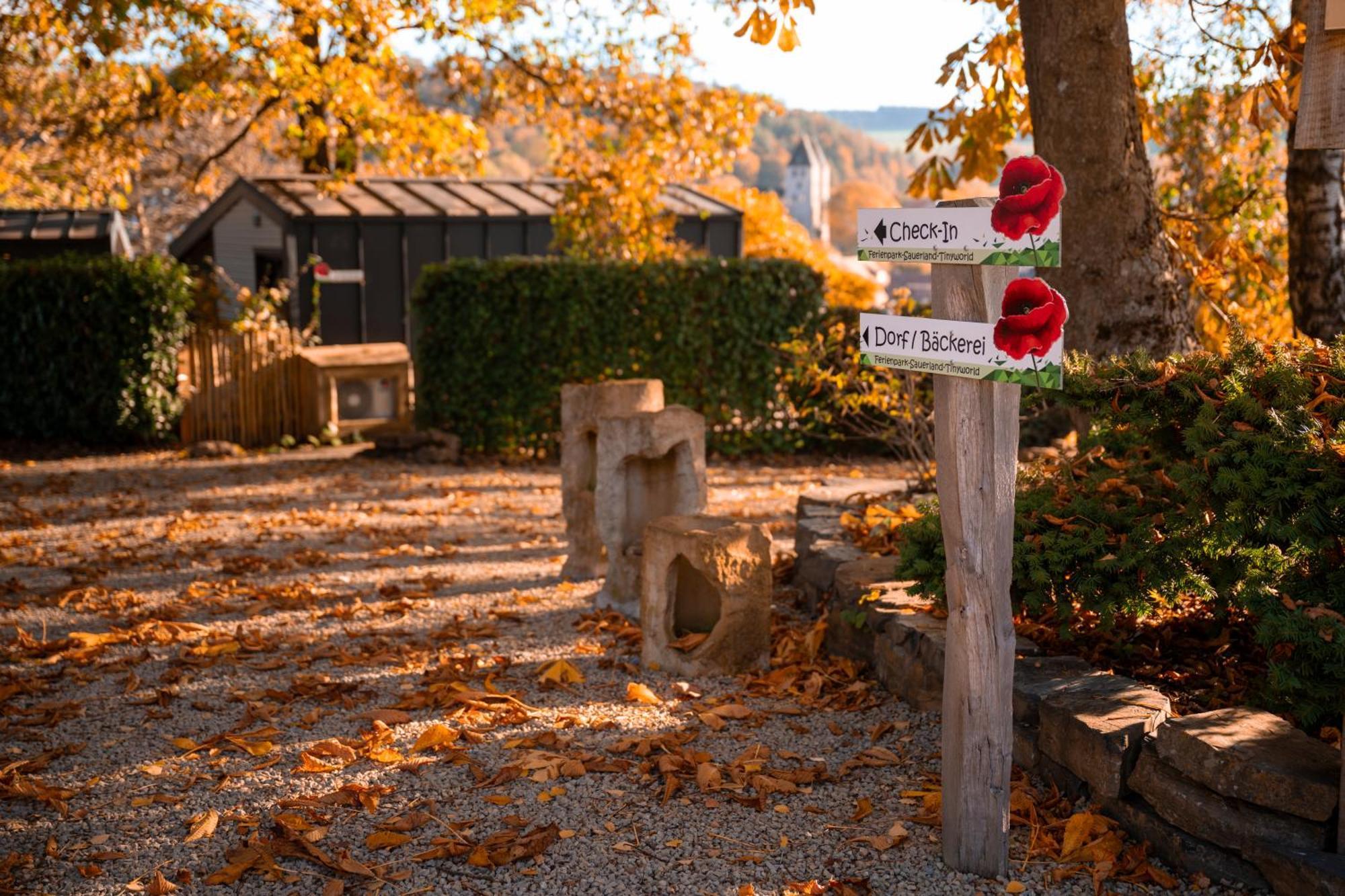 Sauerland-Tinyworld - Ihr Tiny Ferienhaus Im Sauerland Am Diemelsee Zewnętrze zdjęcie