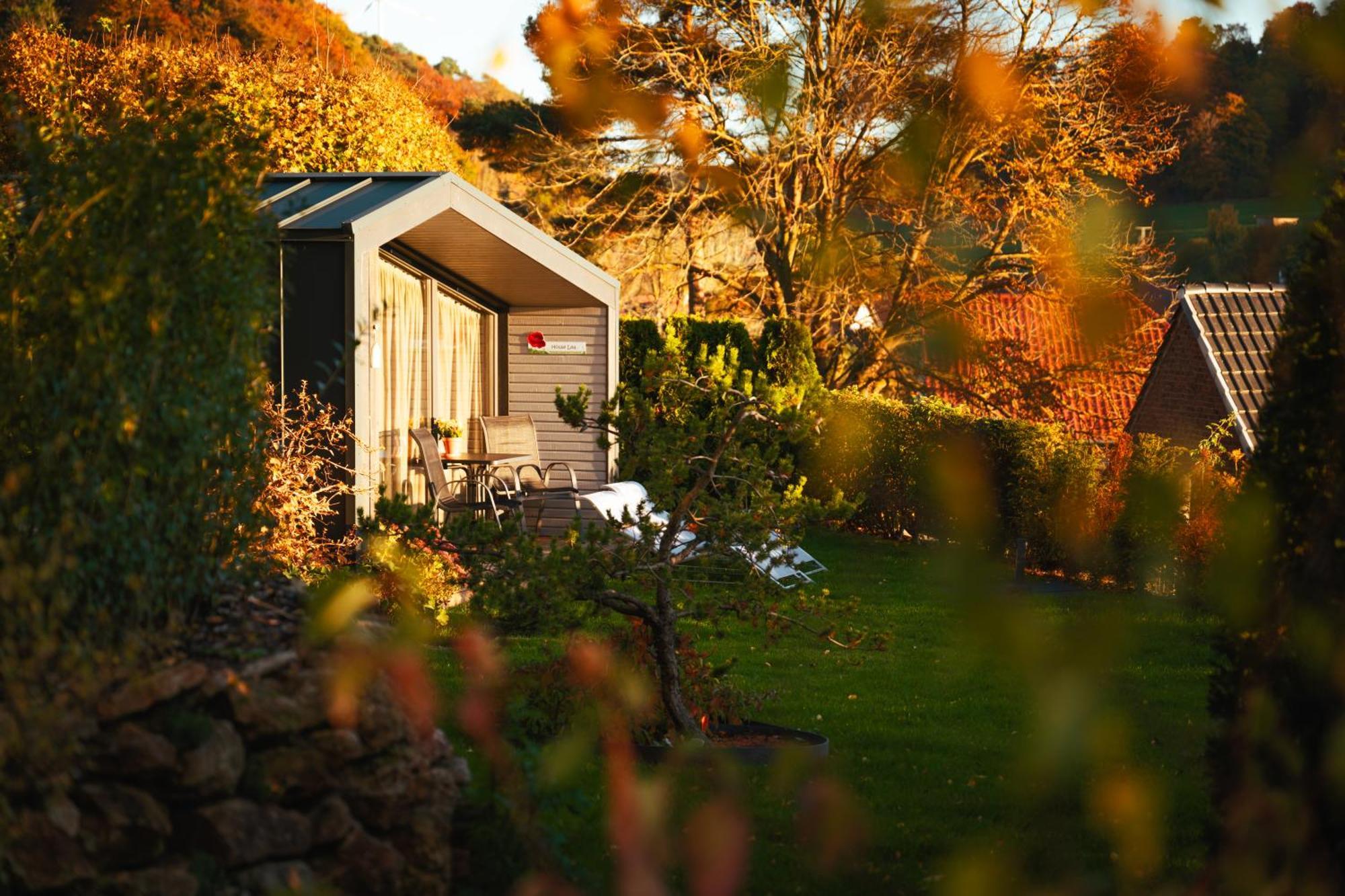 Sauerland-Tinyworld - Ihr Tiny Ferienhaus Im Sauerland Am Diemelsee Zewnętrze zdjęcie