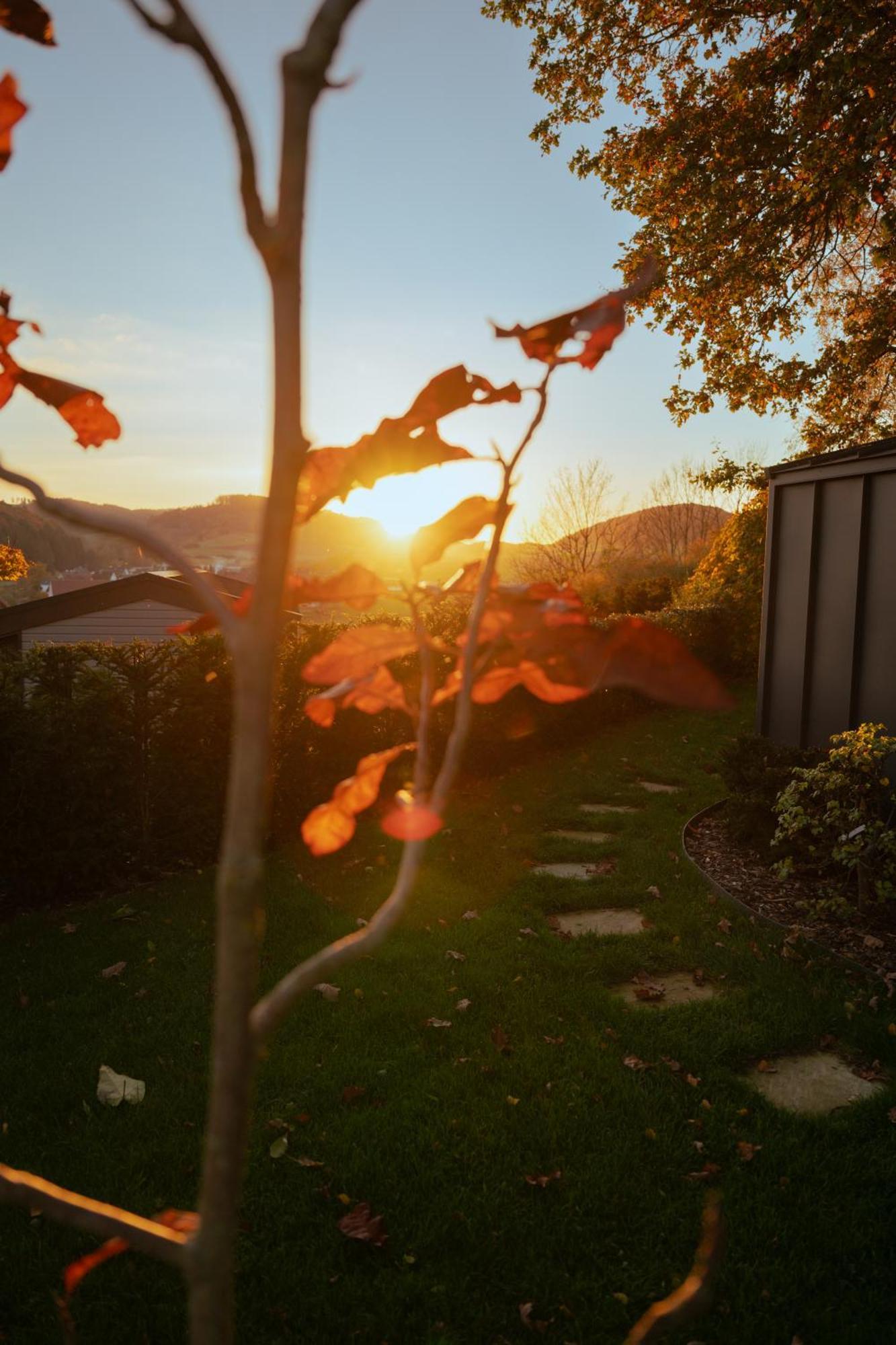 Sauerland-Tinyworld - Ihr Tiny Ferienhaus Im Sauerland Am Diemelsee Zewnętrze zdjęcie