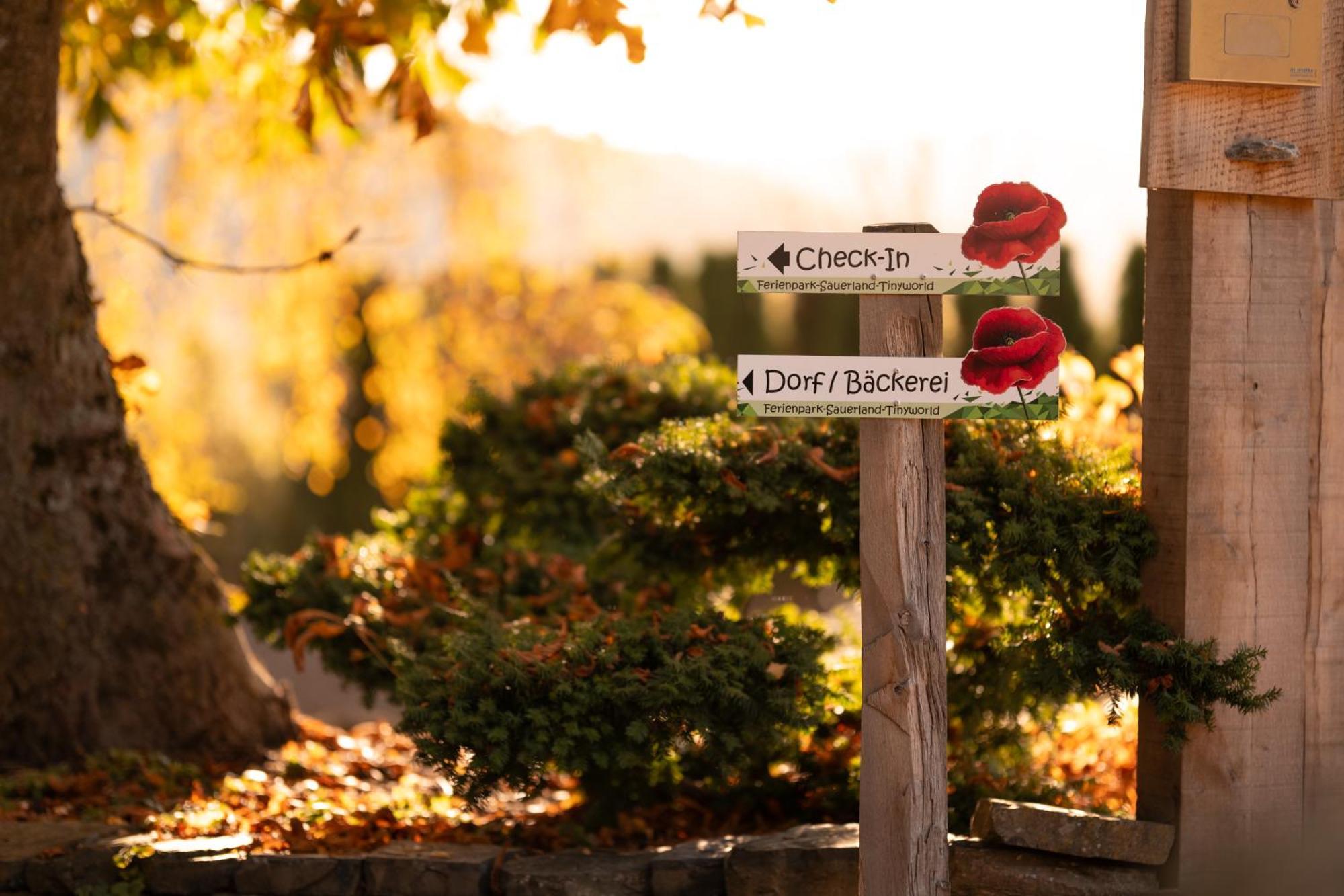 Sauerland-Tinyworld - Ihr Tiny Ferienhaus Im Sauerland Am Diemelsee Zewnętrze zdjęcie