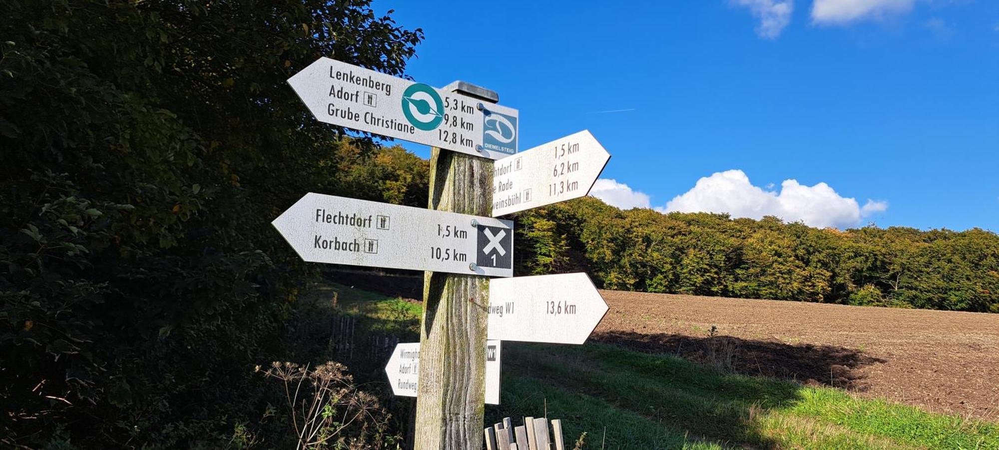 Sauerland-Tinyworld - Ihr Tiny Ferienhaus Im Sauerland Am Diemelsee Zewnętrze zdjęcie