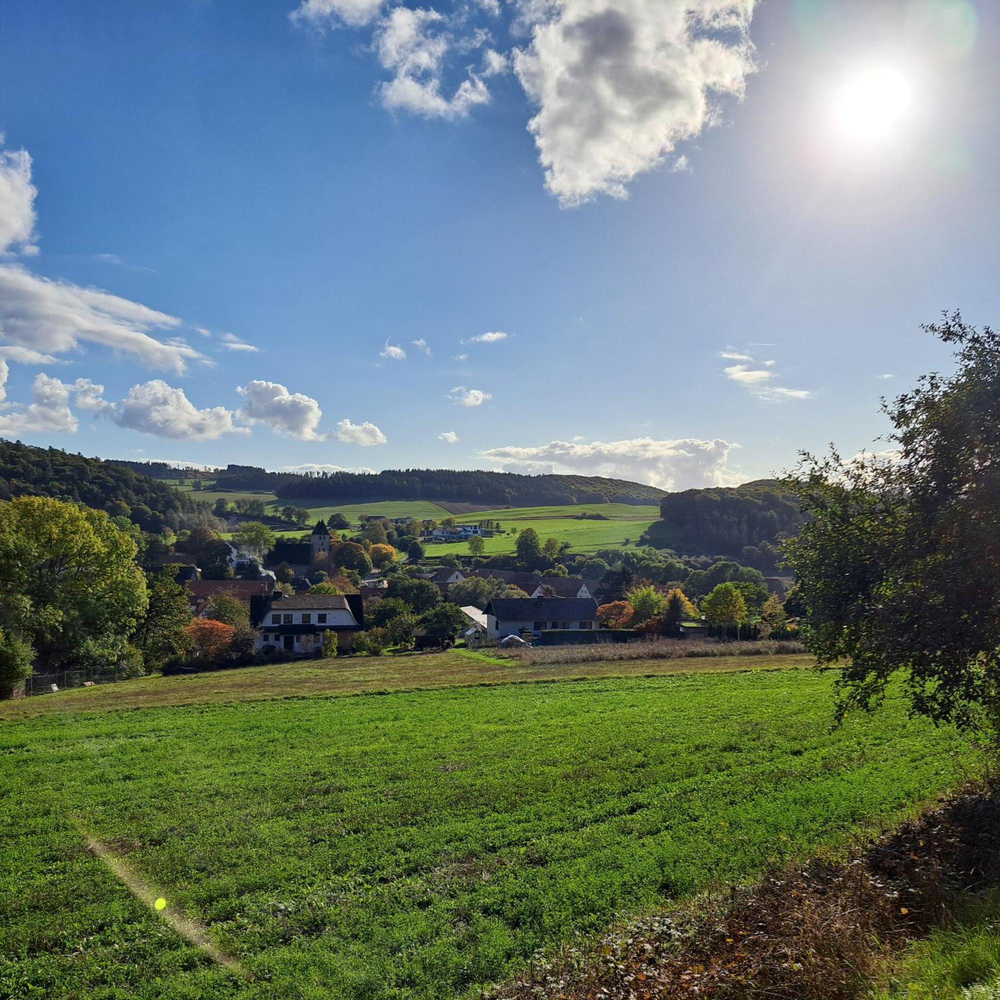 Sauerland-Tinyworld - Ihr Tiny Ferienhaus Im Sauerland Am Diemelsee Zewnętrze zdjęcie