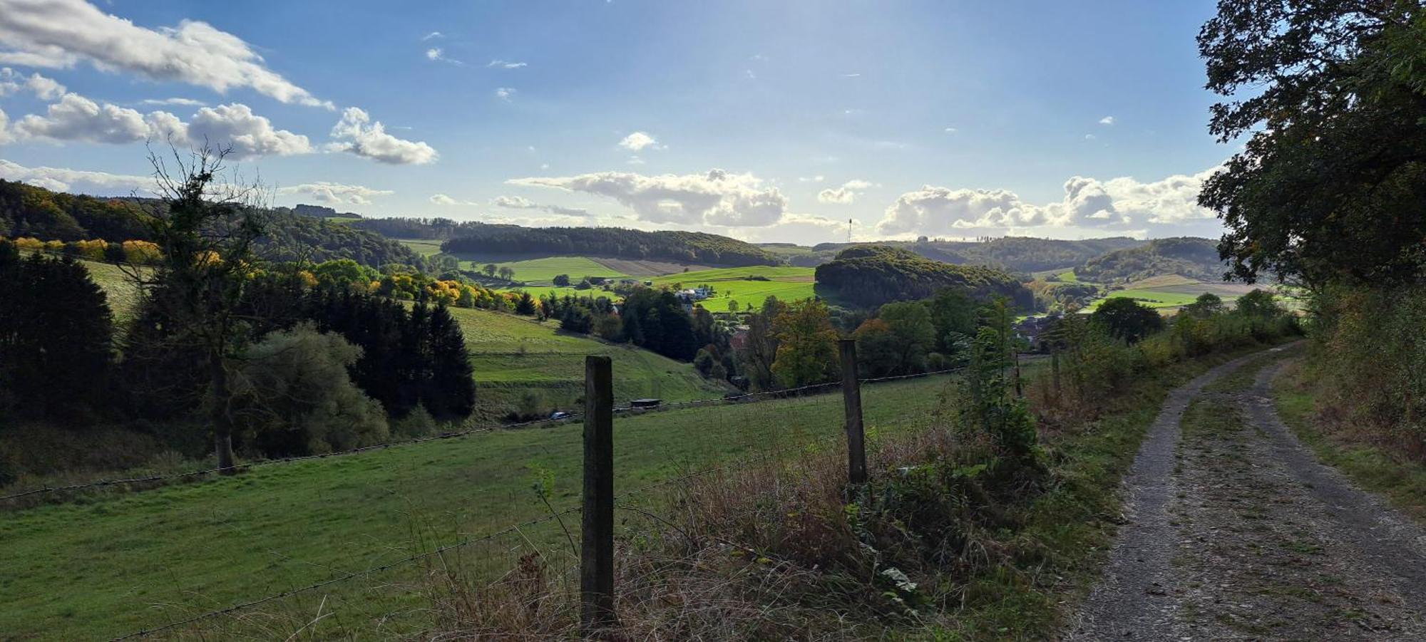 Sauerland-Tinyworld - Ihr Tiny Ferienhaus Im Sauerland Am Diemelsee Zewnętrze zdjęcie