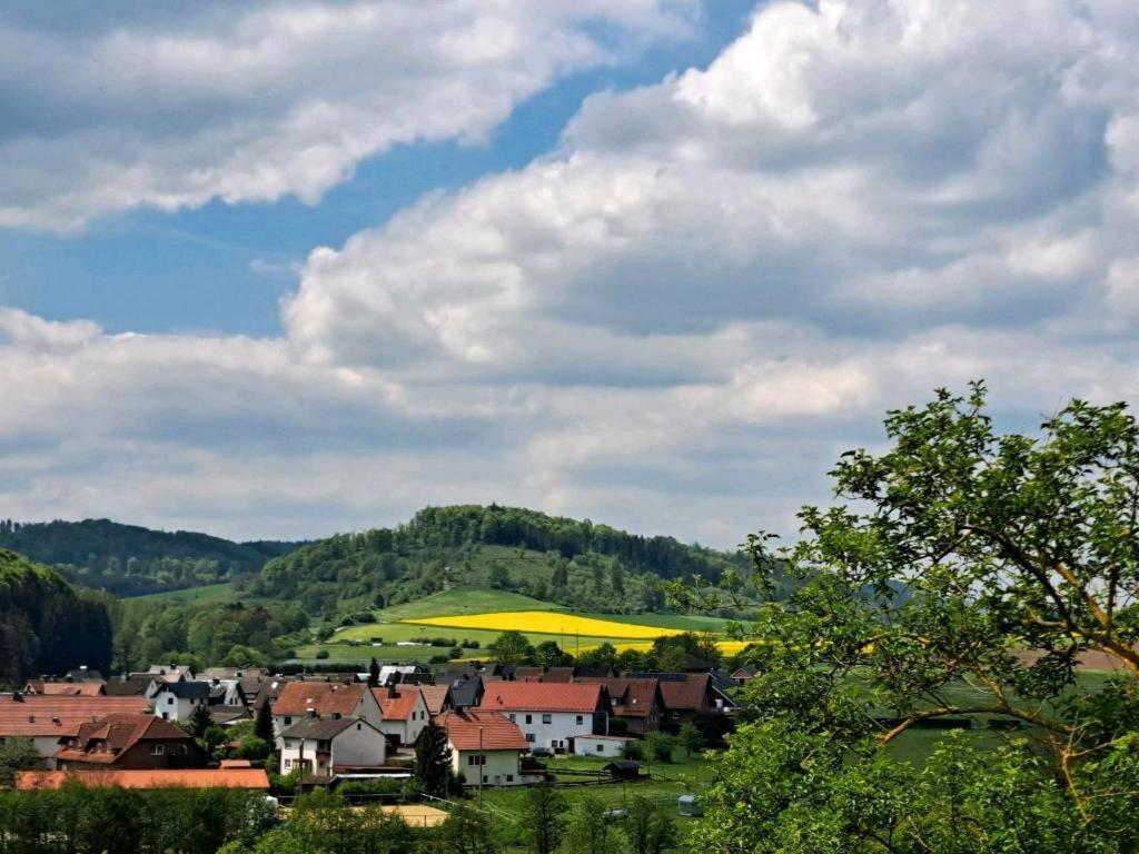 Sauerland-Tinyworld - Ihr Tiny Ferienhaus Im Sauerland Am Diemelsee Zewnętrze zdjęcie